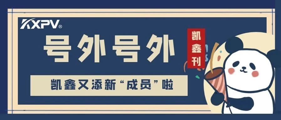 【凯鑫刊-第三期】凯鑫步入发展新征程，开启发展新篇章